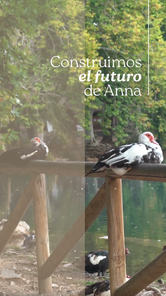 Portada del video